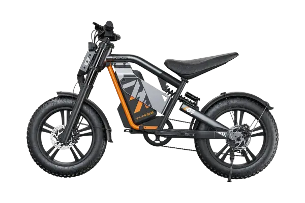 L3 E-MTB · IMAGEM DO PRODUTO