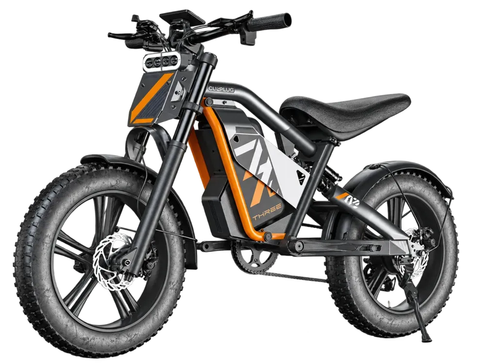 L3 · E-MTB