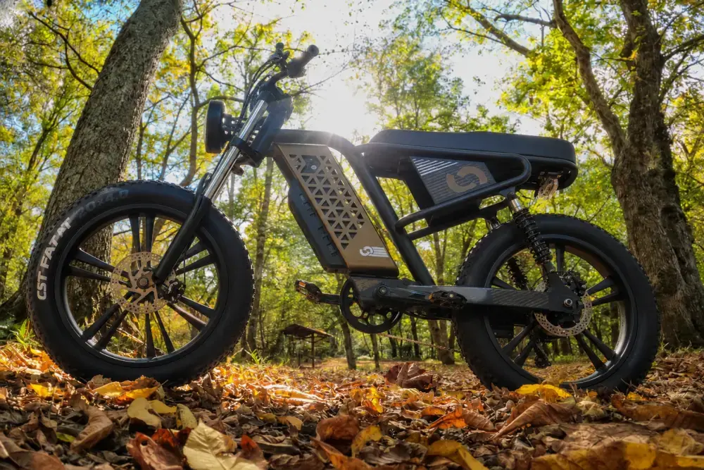 L1 Fat Tire E-Bike