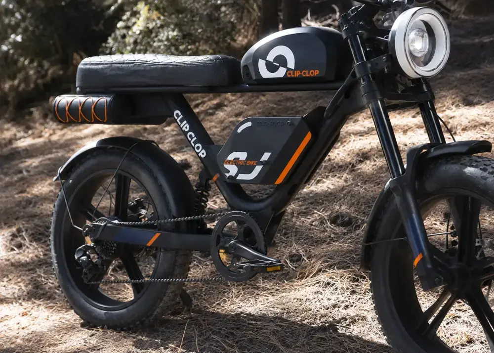 L2 Fat Tire E-Bike