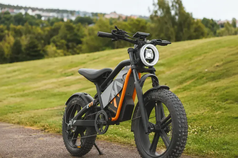 L3 bicicleta de montanha elétrica