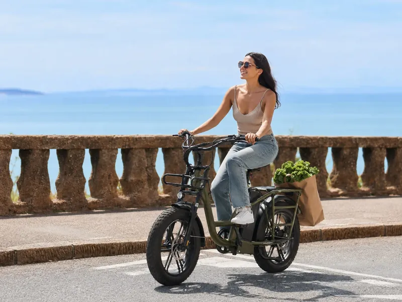 Rider carrying groceries on a cargo electric bike along a coastal road