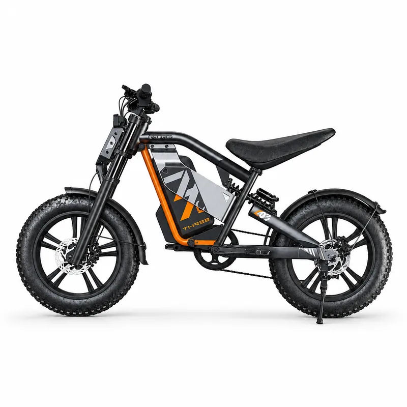 L3 OEM electric bike